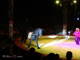  Circus YAKARI am 27.09.2024